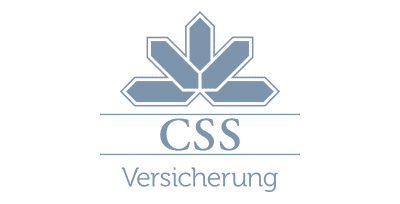 logo-css